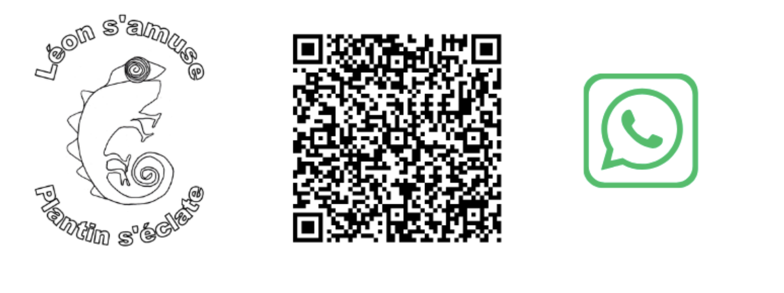 WhatsApp 2025